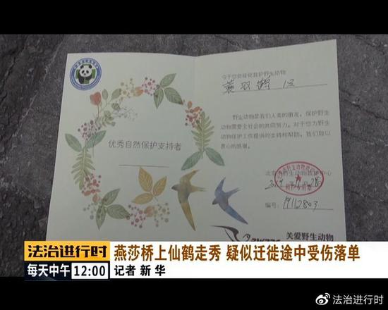 北京街头突现"仙鹤":司机纷纷避让 已获民警救助
