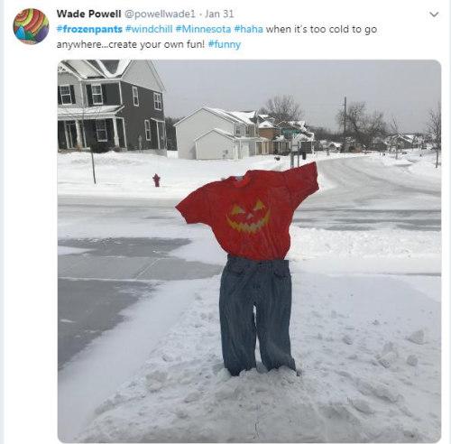 1549177115979467.jpg