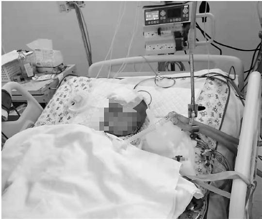 必发365电子游戏旗舰平台·研究显示:这种颜色的狗狗更易生病且寿命短