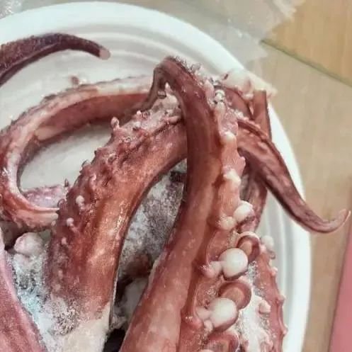 上述圖片為魷魚足