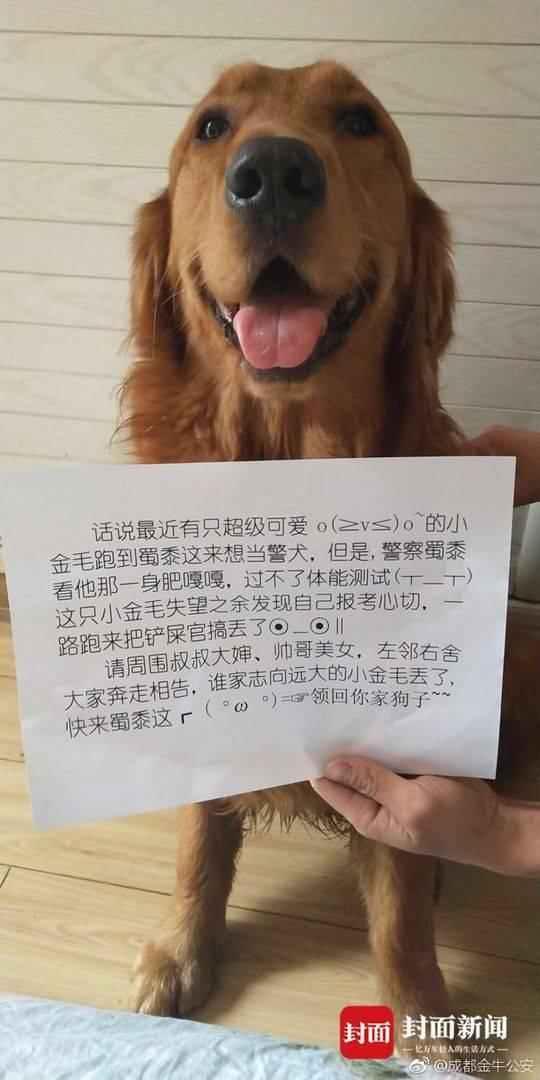 警察蜀黍给“薯条”发的寻亲启示