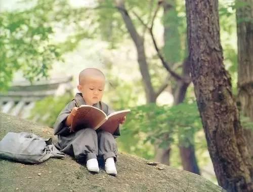 杭州灵隐寺招 小编 薪酬由你提:这次是真的|灵隐