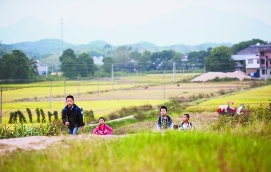 2015108գʡƽʯţկͯǲѧӾйͼ