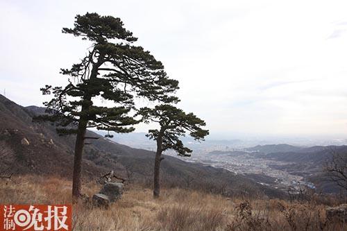 北京门头沟山村现3.5米深盗洞 原址史载为古寺2