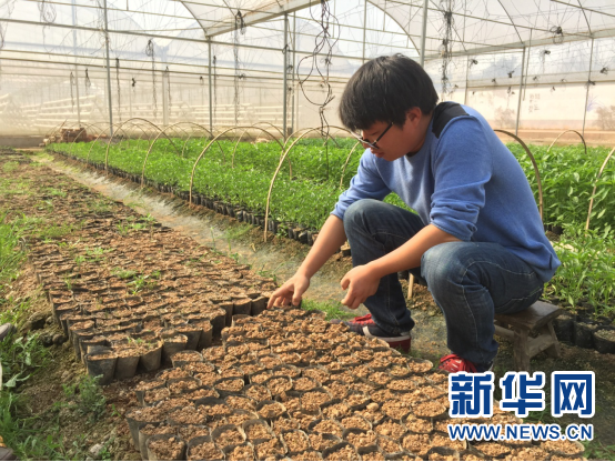 【网络媒体走转改】 春分临近春耕忙