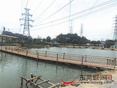 男子钓鱼鱼竿误碰高压线遭电击身亡(图)|钓鱼|电