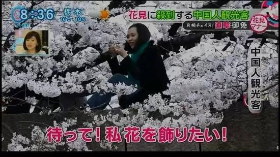 【环球网综合报道】日本进入樱花季，为了赏樱赴日的中国游客激增。不过，日本媒体最近揭露，中国游客爬树、拉下树枝拍照，还有人摘下樱花戴在头上。继“爆买”后，日媒再发明新词“中国式花见(赏花)”。对此，有电视台主持人建议为中国游客设“拍照专区”。