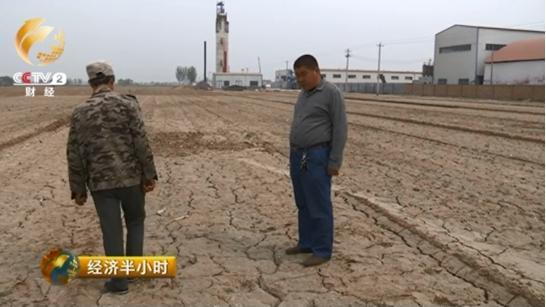 现在，李洪生正和技术人员讨论还能种一些什么作物，但是面对着400亩盐碱地，他们苦无对策。