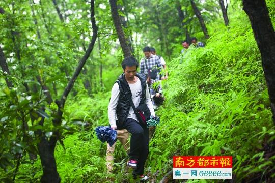 4月14日，观澜人民公园一处半山坡上，罗日闷的家属来到了警方发现老人尸体的树林里，试图寻找到一些老人生前留下的痕迹。