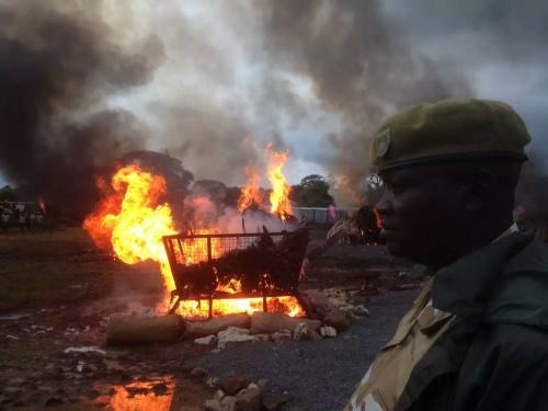 肯尼亚总统亲手焚烧史上最大宗象牙向象牙交易宣战