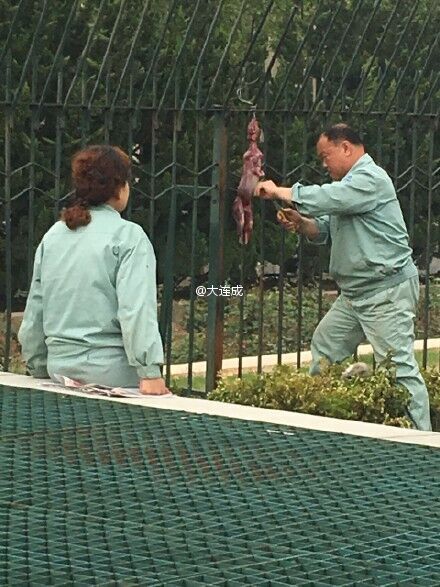 大连地铁保洁员校门口杀兔剥皮引众怒|宰杀|兔