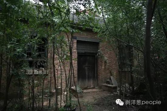 2013年6月23日,河北邯郸广平县南寺郎固村,王书金废弃的家,王书金的父母都已去世,只剩下两间废弃的砖房。新京报记者 侯少卿 摄