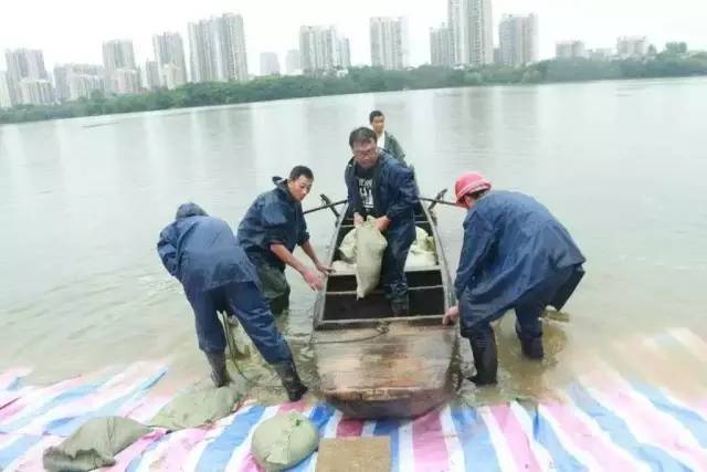 险情出现后巡防人员立刻法宣