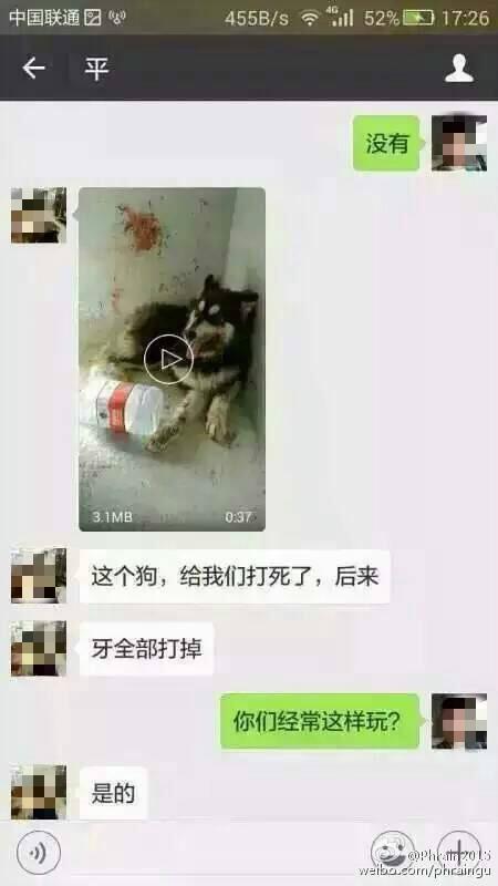 深圳虐狗男杀50余只狗取乐 律师:无法对其处罚