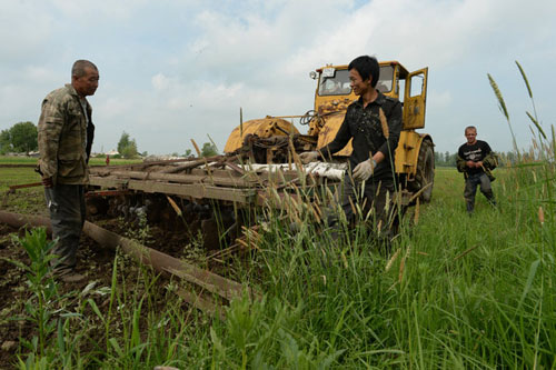 李成斌(音)和儿子李鑫(音)耕种着这片面积82英亩(约合495亩)的土地。这块地是他们租来的，位于跨过中国边境的俄罗斯远东地区的克拉斯诺亚尔斯克村。