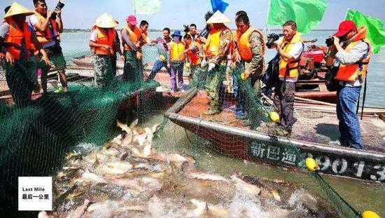 中国最美乡村居然在这里!