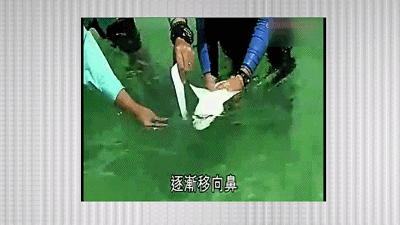 所以以后想下海游泳潜水腰上绑块磁铁就万无一失了?