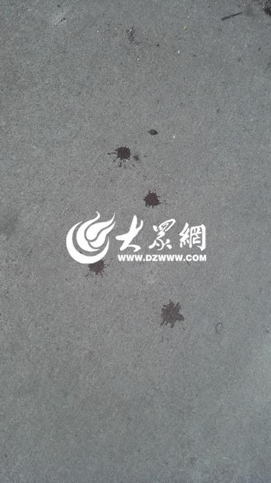 男子砍死妻子后在環(huán)城河溺亡(圖)1
