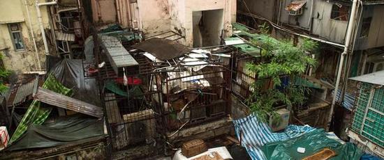 外媒:斯诺登为躲美国搜索曾在香港贫民区受庇