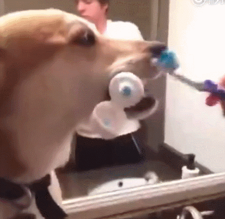 这些动图,千万别被爸妈看到!