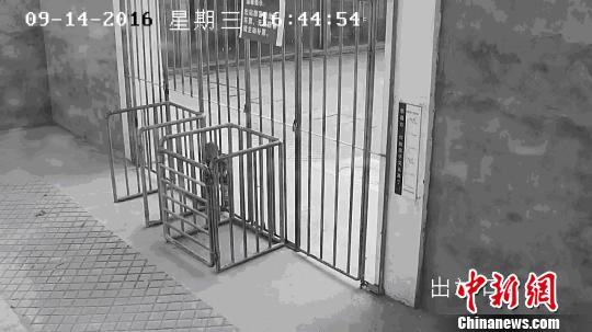 图为，(视频截图)9月14日16时44分幼童正从出站口栅栏缝隙钻入车站 马铁轩 摄