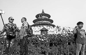 国庆期间，天坛祈年殿被盛开的月季、大丽花环绕。北京晨报记者 王颖/摄