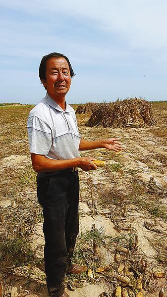 陕西转基因玉米案:嫌犯供述