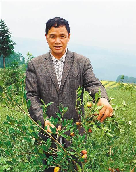 10月7日，在瓦泥坪村的高山上，代朝国向记者介绍油茶果。 记者 蔡正奋 摄