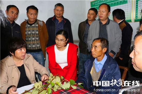 被十八洞村民称为最接地气的科学家——中科院武汉植物园猕猴桃专家钟彩虹(左),现场指导村民猕猴桃种植技术。王振红摄