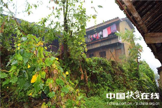 湖南省花垣县十八洞村。王振红摄