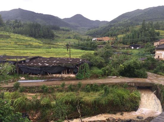 9月17日，记者来到卓洋乡庄里村，村里依然下着雨。新华社记者 黄鹏飞 摄