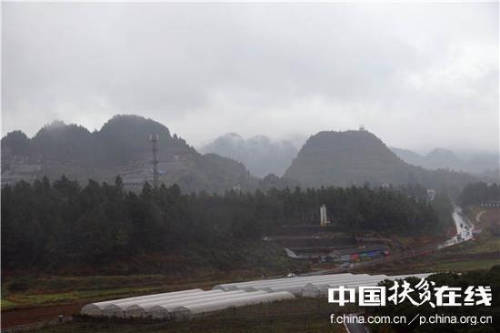 十八洞村最大的产业项目1000亩猕猴桃产业园。王振红摄
