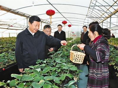 2014年12月13日至14日,中共中央总书记、国家主席、中央军委主席习近平在江苏调研。