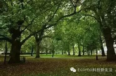 60年前的“伦敦毒雾”可不是被风吹走的