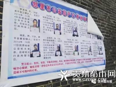 贵州人口信息网_生活常识 生活小妙招 急救常识 文学常识 健康小常识 乐单机(2)