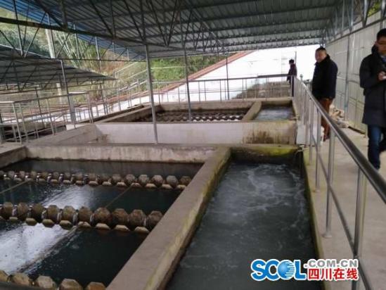 1月11日,始阳水厂水处理设备正常运转。这套设备老旧,供水能力也不足。