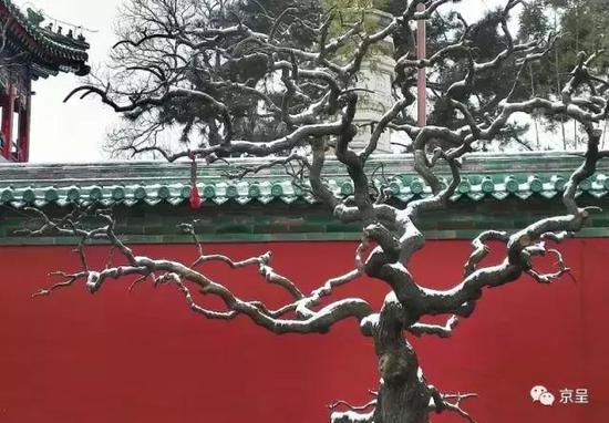 (小伙伴 于志强摄)