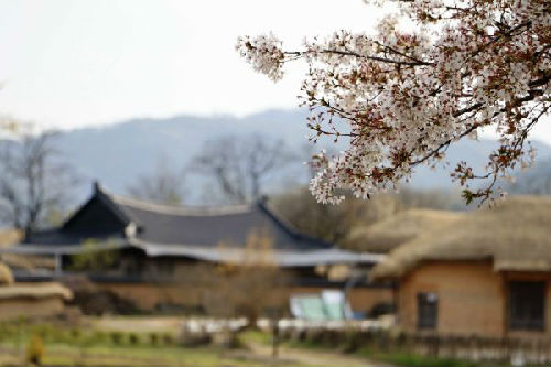 韩国旅游景点安东河回村 新华社记者姚琪琳摄