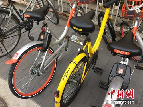资料图。某辆共享单车号码被损。中新网&nbsp;吴涛摄&nbsp;