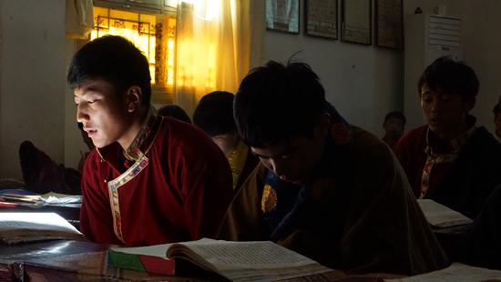 学生们在课堂上学习藏医知识。阿度/摄