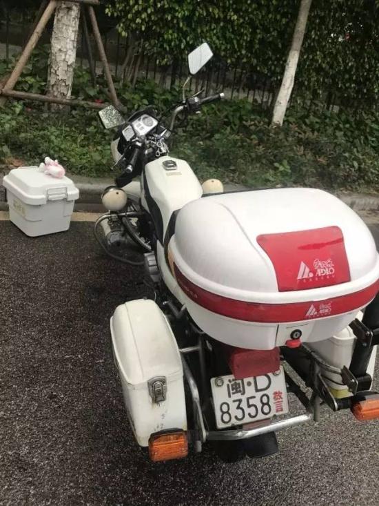 打鸟的工具价格