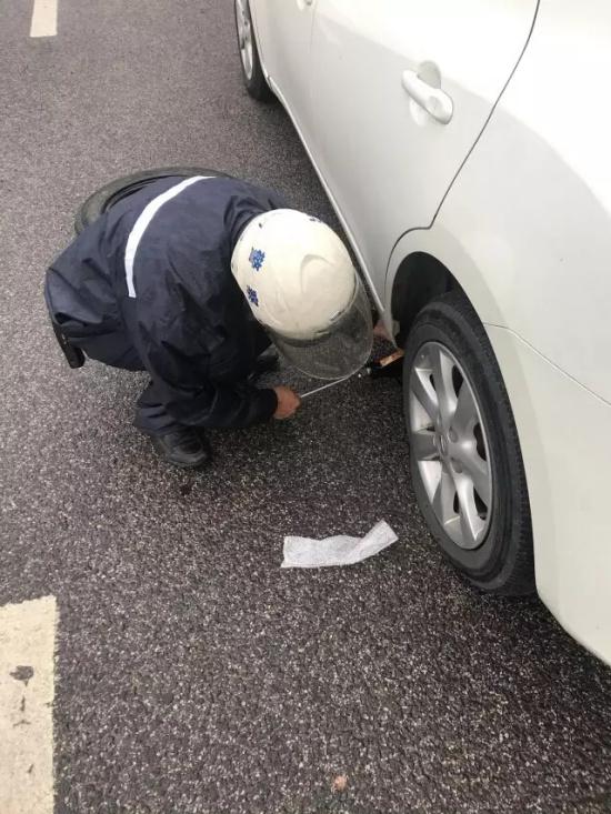 打鸟的工具价格