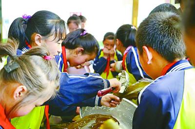 　　青海互助县纳家村，纳家小学的孩子们正在学习包粽子。本报记者 赵斌艺摄/光明图片 