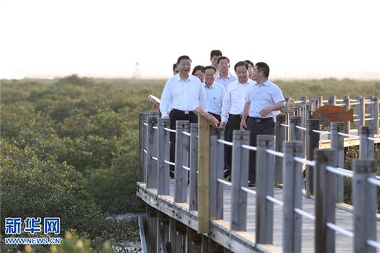 　　4月19日至21日，中共中央总书记、国家主席、中央军委主席习近平在广西考察。这是4月19日傍晚，习近平来到北海金海湾红树林生态保护区考察。新华社记者&nbsp;谢环驰摄&nbsp;