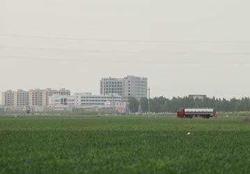 5月1日，在雄安新区安新县大王镇，一辆汽车从农田旁驶过。新华社记者&nbsp;才扬/摄&nbsp;