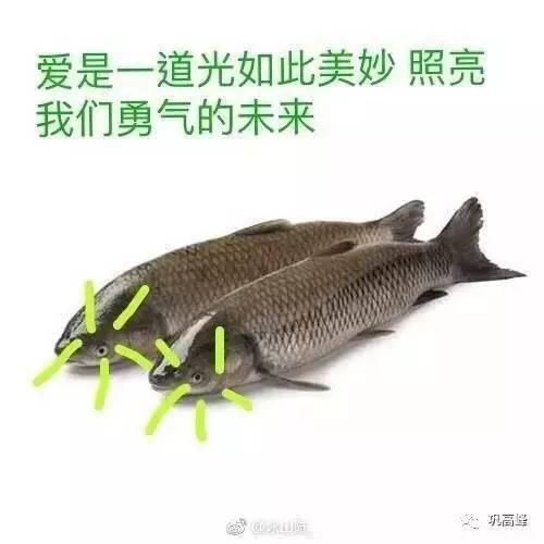 图片来源:@巩高峰微博