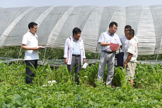 　这是安徽省望江县司阁村第一书记、安徽省委统战部研究室主任李传玺（左三）来到该村田间实地走访，询问村民种植情况（5月25日摄）。新华社记者 郭晨 摄