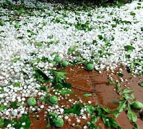 哪些皮肤病能开病假条