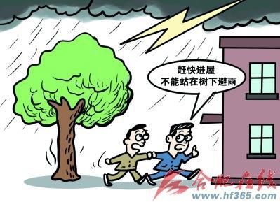 暴雨天急救指南：如何应对灾害和自救？