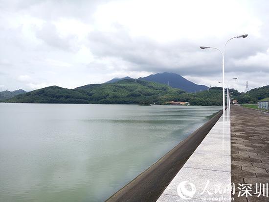 　　6月21日，大雨过后的深圳水库愈发美丽。陈育柱摄 